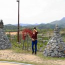 청보리축제장 이미지