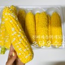 알록이달록이 | 제주도 초당옥수수🌽 달고 맛있어서 택배시킴!!! (+알록이달록이)_택배 내돈내산 솔직후기