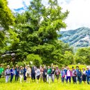 천태산농원 이미지