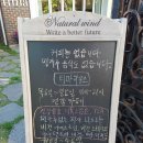 티마 이미지