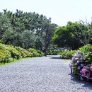 동백사거리 공영주차장 이미지