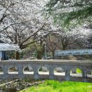 덕천서원화장실 이미지