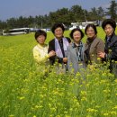 호경농장 이미지