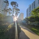 제일5차아파트 앞 이미지