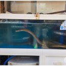 칠암장어집 이미지