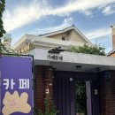 한채 | 전주 객사 예쁜 카페 추천 🌿 카페 한채 솔직 후기 | 내돈내산