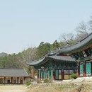 곡성 티스토리