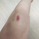 크린멍 | 안산 크로스핏 크린이 한 달 후기 :: 크로스핏 해치 선부점