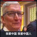 차이나쿡 이미지