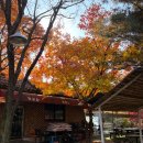 삼하리 | 경기도 양주시 장흥 | 두리랜드 근처 맛집 카루소 (쭈꾸미 볶음, 청국장, 고등어구이) 솔직 후기