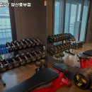 애니멀짐PT 이미지