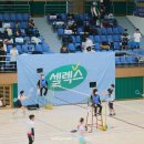 매일생활건강