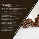 바리스타중급(오전) 이미지