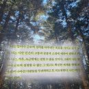 흑산 진리당 | 흑산 (김훈) 소설 책 후기·추천 리뷰·핵심 요약 <김훈은 흑산에, 나는 여기에 산다>