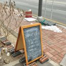 동오리가비 이미지