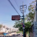 부경시멘트(주) | 부산 해양자연사박물관, 유치한 물고기전. (뱀, 파충류 사진 많으니 싫으신 분 누르지 마세요 ㅜㅜ)