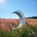 핑크뮬리 이미지