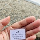 진주-금산-비상-30 | 무량원 진주시 금산면 우연히 찾은 파전 칼국수 비빔밥 맛집 메뉴 가격 후기