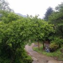 양평토박이부동산공인중개사사무소 이미지