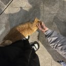 여은 아틀리에 | 생각보다 더