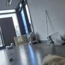 삼송데이케어 펫호텔 이미지