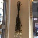 그레피스 이미지