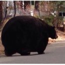 스튜디오카페느릿 | Is the only