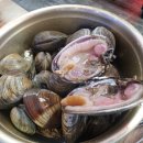 통큰 동호네 조개구이 후기 바람쐬러~