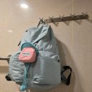 민트 | [브랜든] - 세이프 플러스 백팩 (페일 민트) 후기