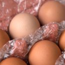 푸름농장2 이미지