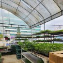 청평화훼종묘사 이미지