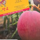 신명농장2 이미지