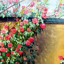 수채화(오후) 이미지