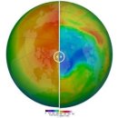 오존사이언스 이미지