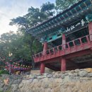 연호사 - 1863 | 합천 반값여행 | 함벽루 입장료·주차비·소요시간 총정리 (무료입장 가능)