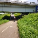 팽성대교 쉼터 이미지