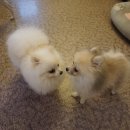 개편한세상 이미지