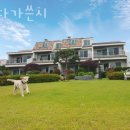 태안갯벌체험 바다가쓴시 맛조개철 해루질펜션 추천