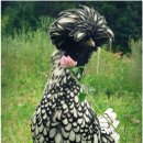 소망부동산중개사무소 이미지