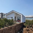 신산리-2 이미지