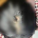 예닮빛의원