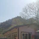 푸른시절7080 이미지