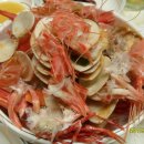 울릉도꽃새우 이미지