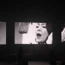 플라워 콘서트 이미지