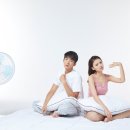 살롱;마실
