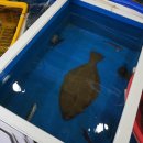 어시장길 24-5 이미지