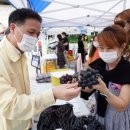 청량리청과물시장 이미지