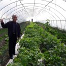 소생로컬푸드 이미지