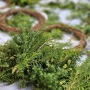 범어초교병설 이미지