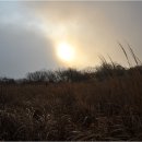 사자평원 이미지